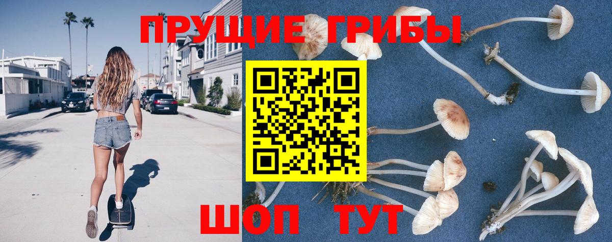 Псилоцибиновые грибы мухоморы Муром