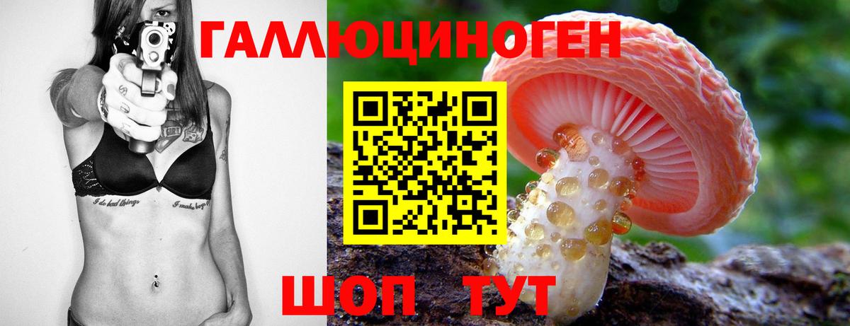 Муром  Галлюциногенные грибы GOLDEN TEACHER  Вход с VPN  Псилоцибиновые грибы мицелий 